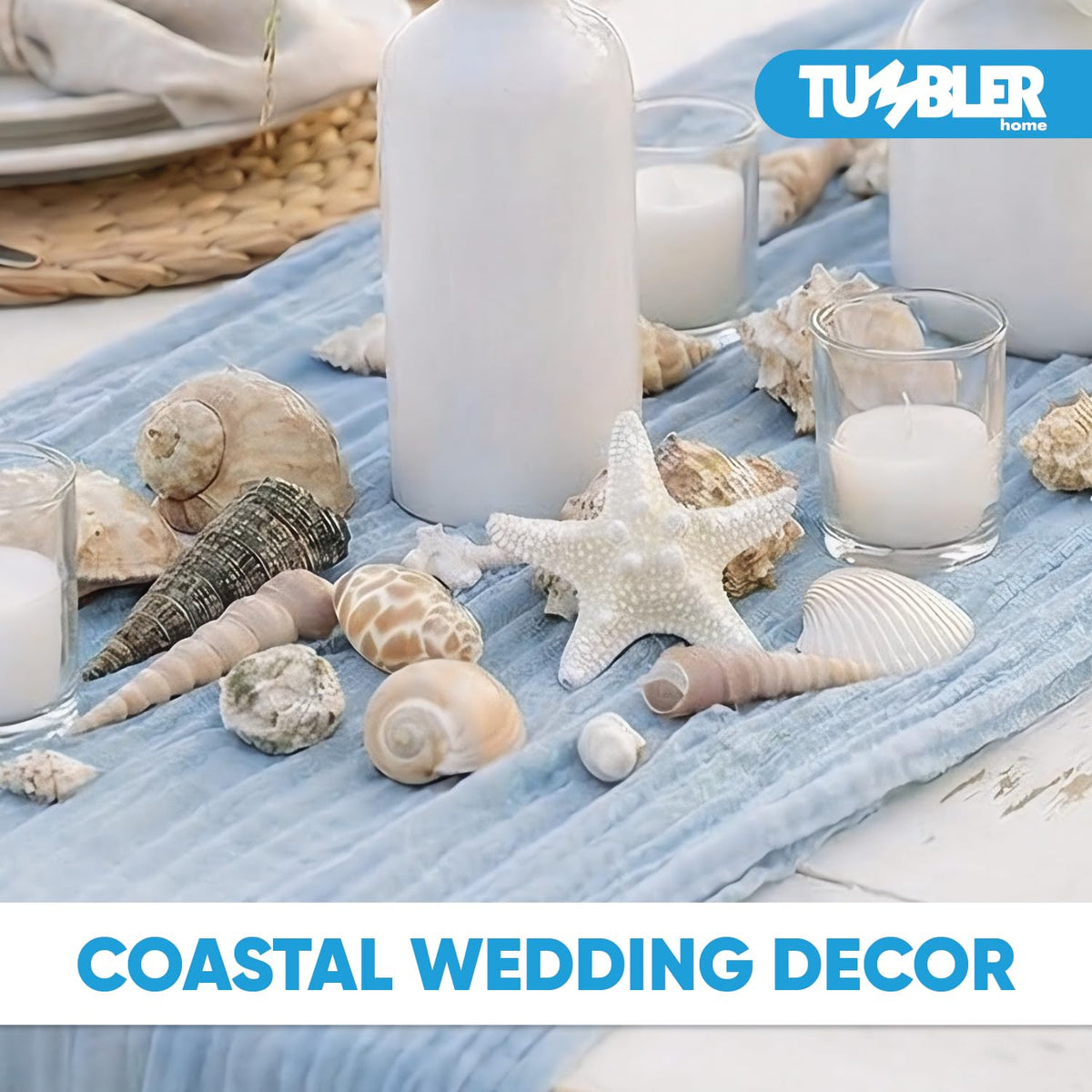 Tumbler Home natural shells for beach-themed decor in bowls or lamps.