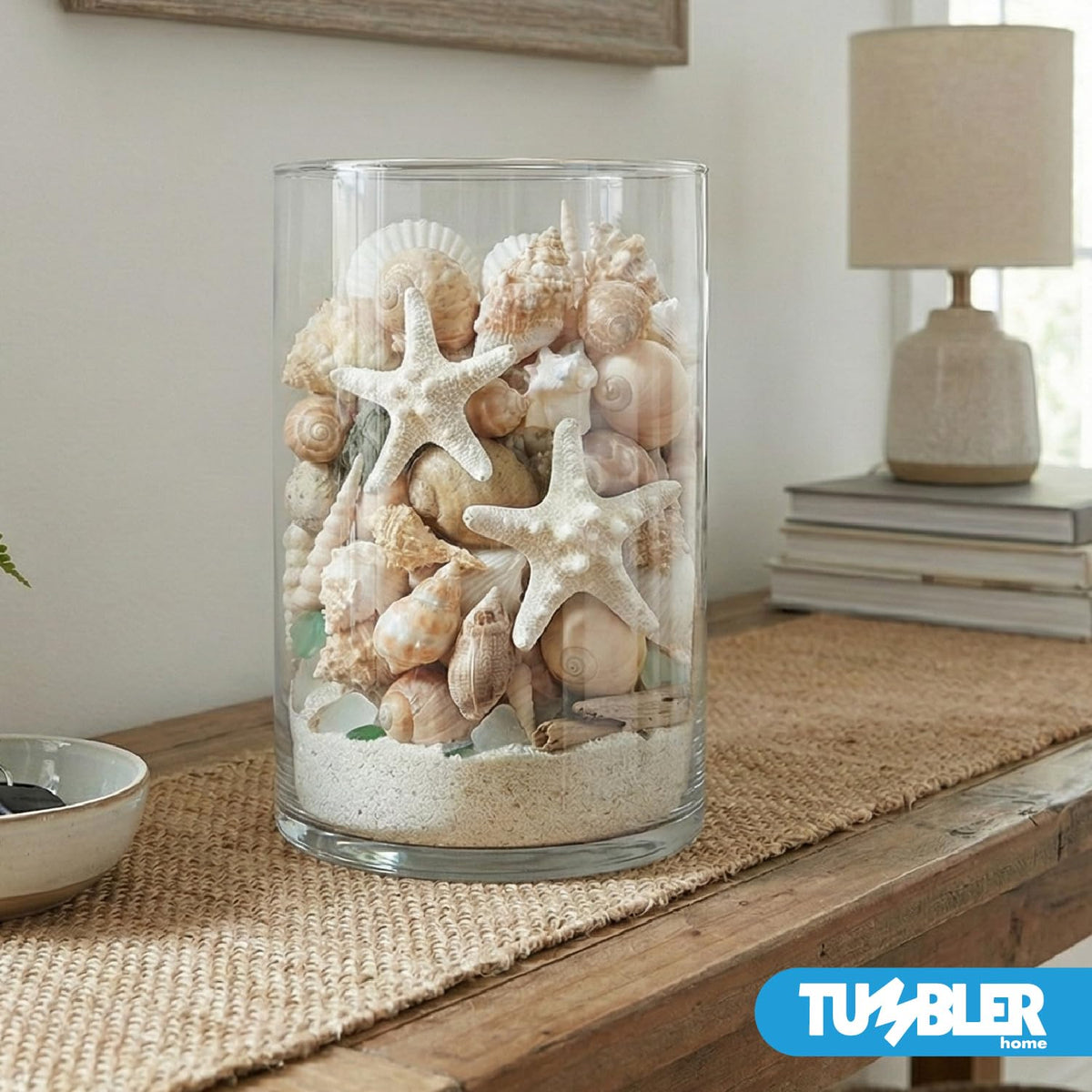 Tumbler Home mixed shells suitable for decorative bowls and glass vases.
