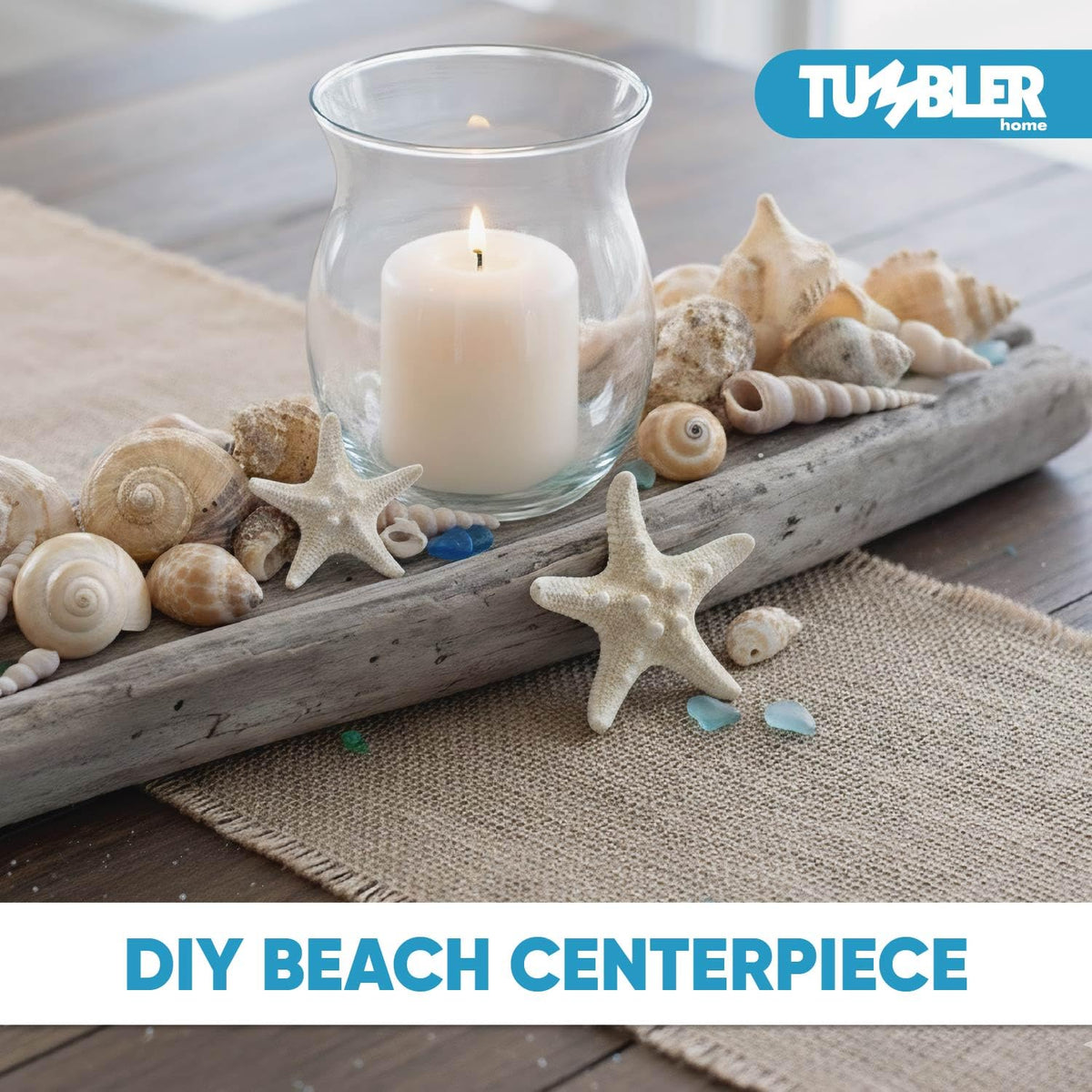 Tumbler Home shells in mixed colors ideal for wedding centerpieces and table decor.