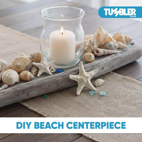 Tumbler Home shells in mixed colors ideal for wedding centerpieces and table decor.