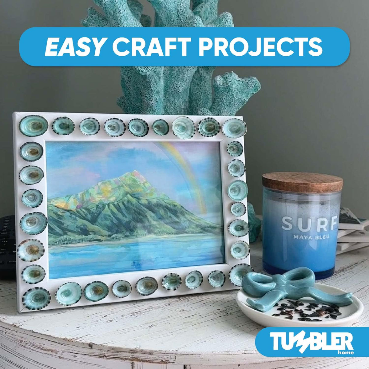 Tumbler Home sea shells suitable for holiday ornaments and crafts.