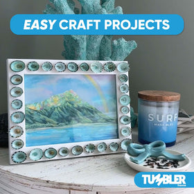 Tumbler Home sea shells suitable for holiday ornaments and crafts.