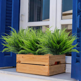 TURNMEON 20 bundles deliver scalable greenery across multiple outdoor spaces.