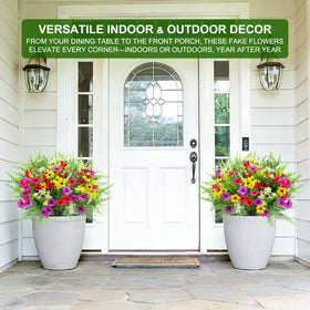 TURNMEON Boston fern lush green bundle for patio or living room display