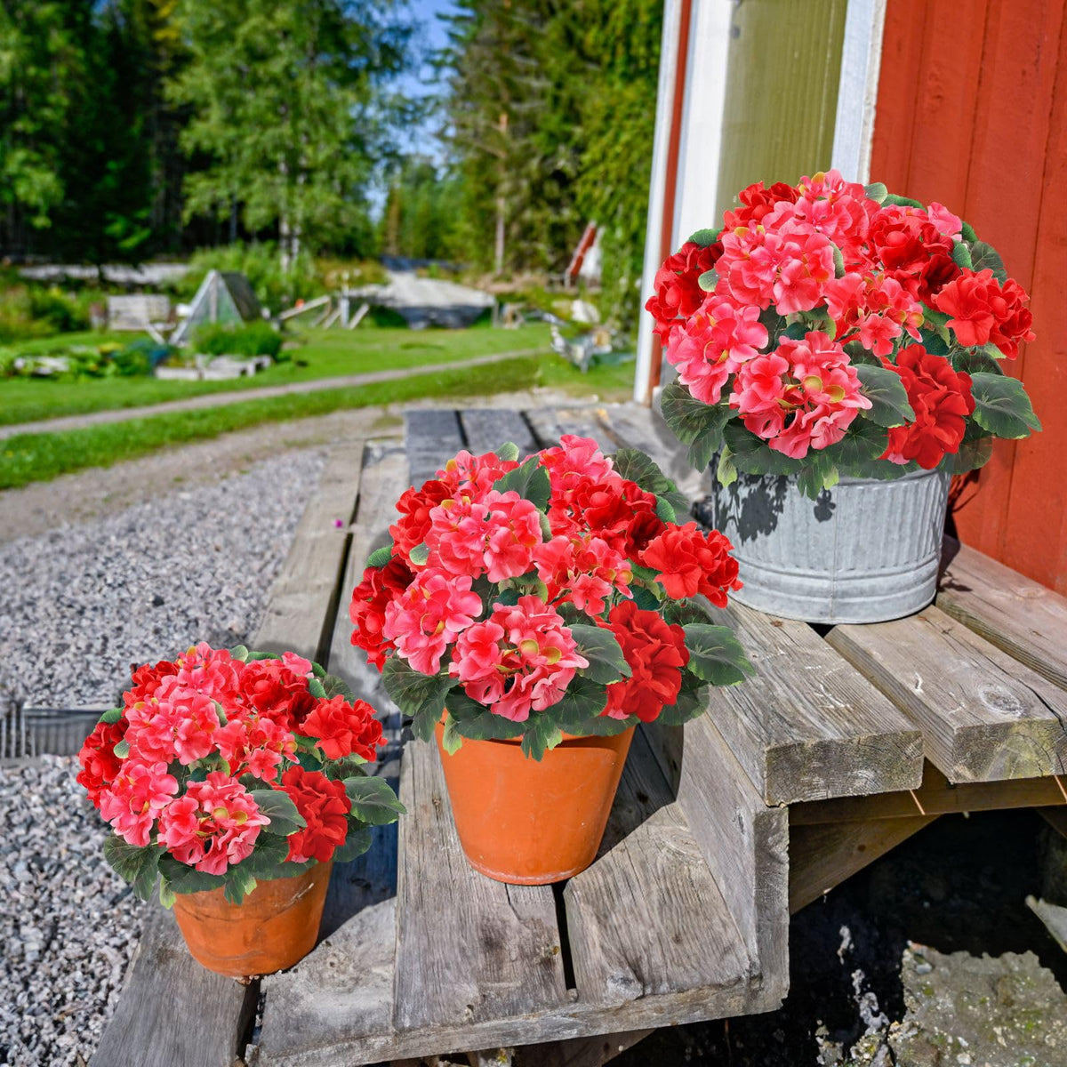 TURNMEON geraniums leaves detail highlights lush foliage for vibrant display.