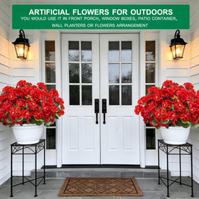 TURNMEON outdoor geraniums on garden display.