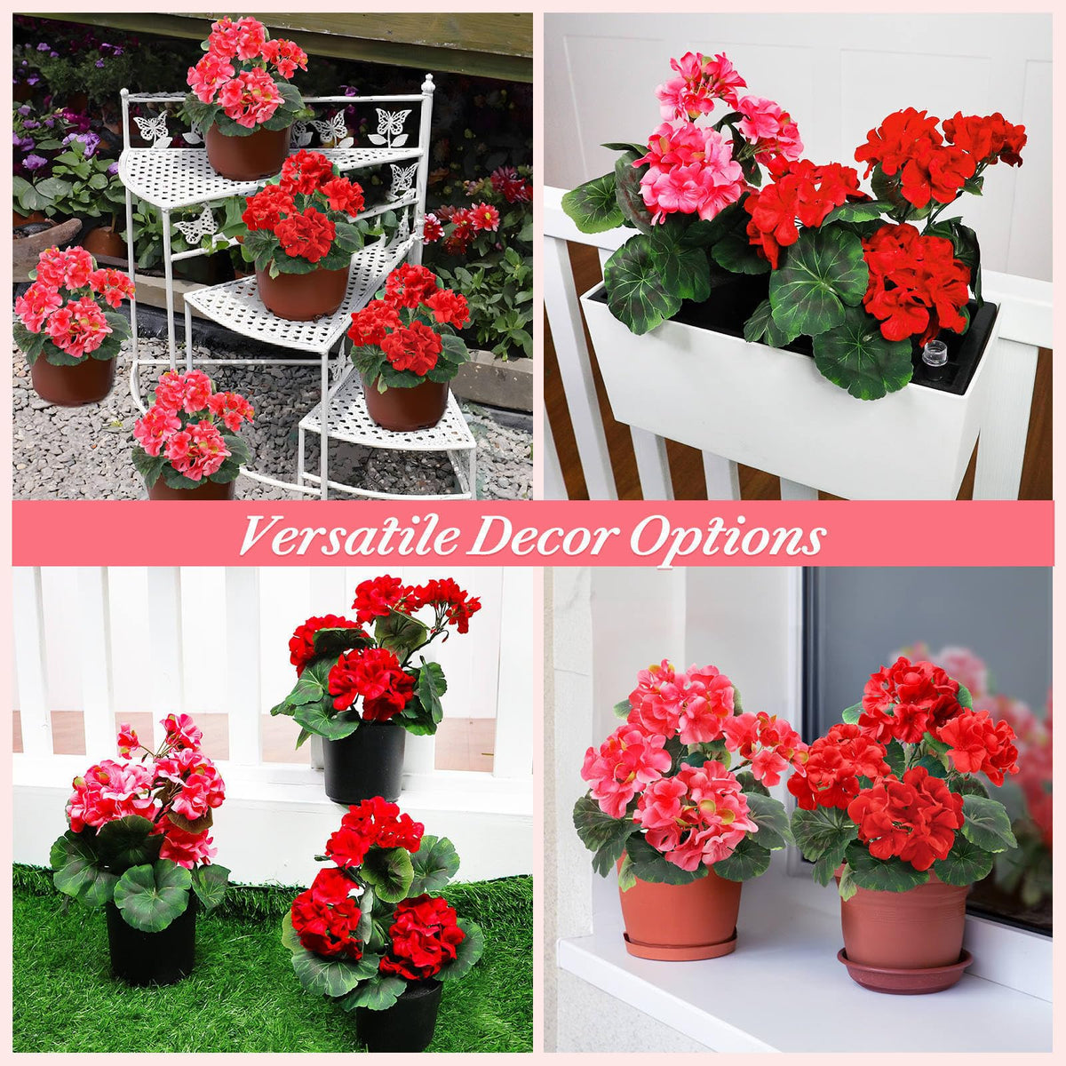 TURNMEON geraniums pot edge provides sturdy base and clean presentation.