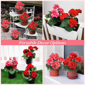 TURNMEON geraniums pot edge provides sturdy base and clean presentation.