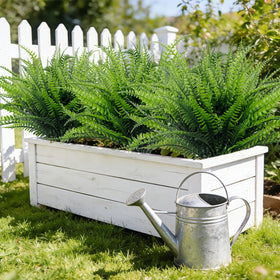 TURNMEON Lush Boston fern decor for garden, porch, or cemetery settings.