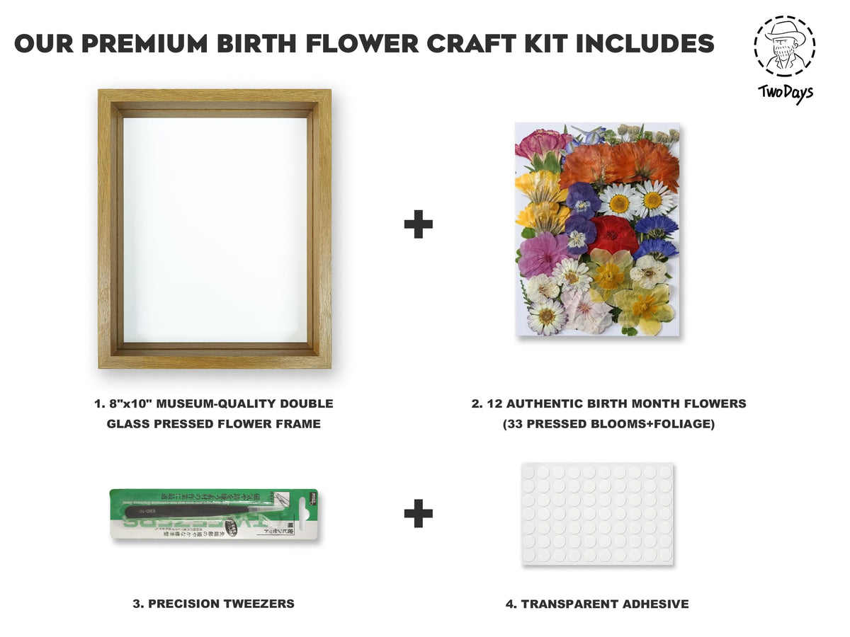 TwoDays 8x10 double glass frame for museum-quality display