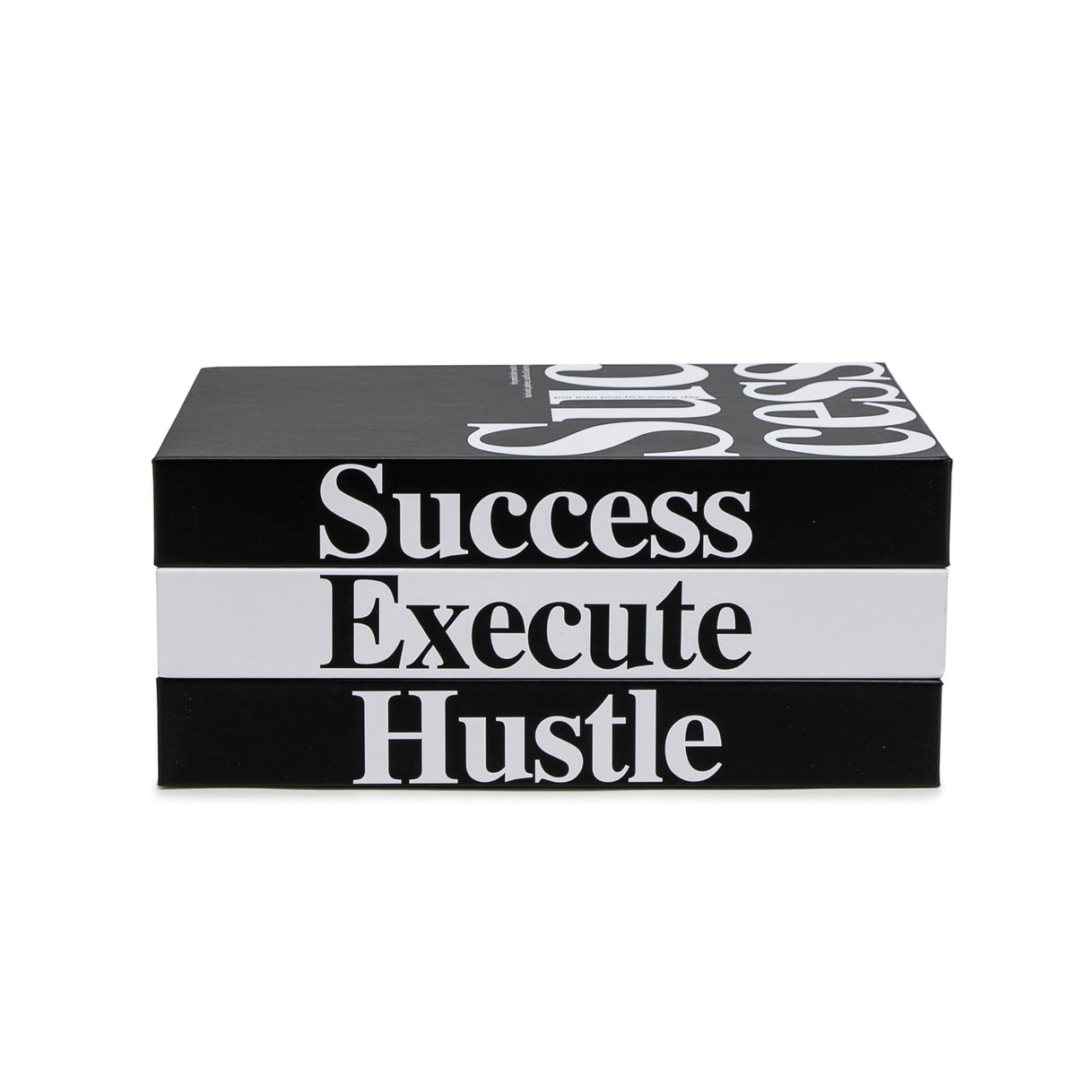 TwoDays Success decorative books on a shelf add motivational flair.