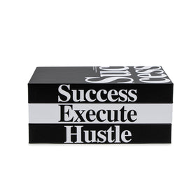 TwoDays Success decorative books on a shelf add motivational flair.