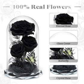 Tyvouflo preserved roses three-rose dome in a decorative display