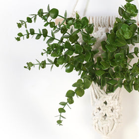Two-pack wall planters with LED lighting for cozy, decorative displays.