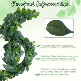 ucky detachable leaves vine assembly for customized arrangements