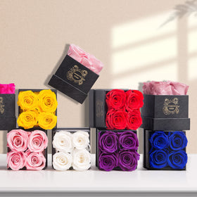UFOREVER ROSES buttermilk rose closeup highlights preserved petals and natural beauty