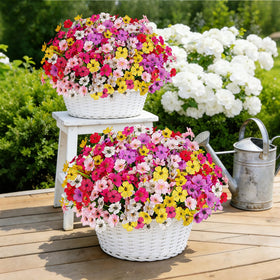 Realistic look brightens spaces without watering or trimming