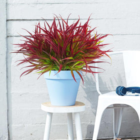 Uieke artificial grass plants with dense leaves for patios and balconies.
