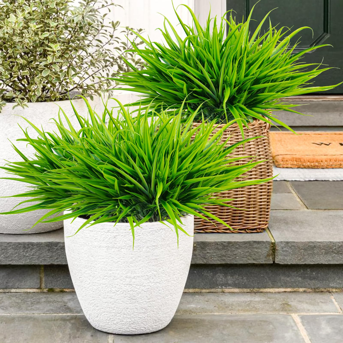 Uieke outdoor plants UV resistance keeps color vibrant in sunlit spaces.