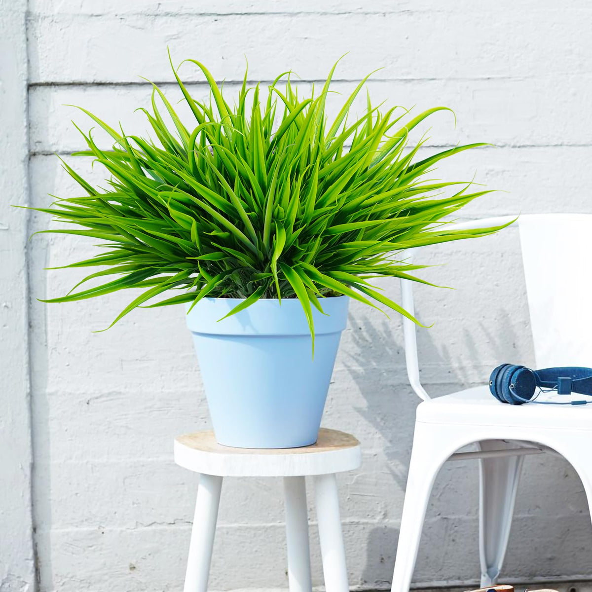 Uieke window box grass showcases realistic texture and fullness.