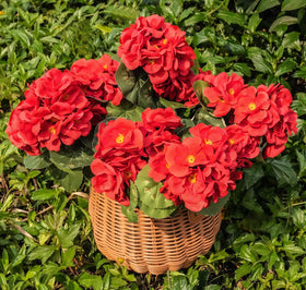 UJROQI artificial geraniums outdoor all-season appearance with no watering