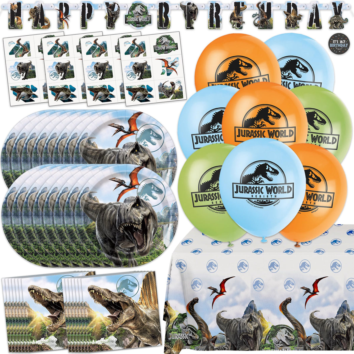 Unique Jurassic Park banner backdrop for a themed birthday party.