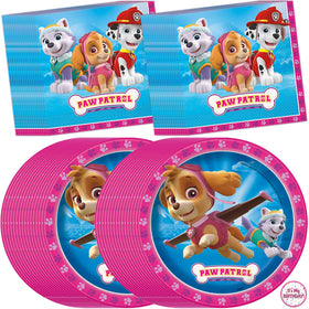 Unique Pink Paw Patrol plates (9-inch) for easy kid-friendly dining.