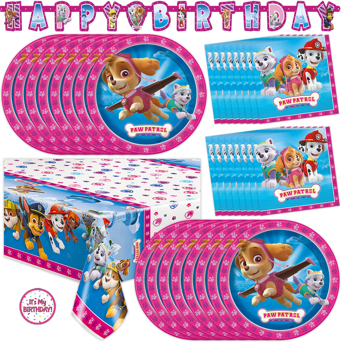 Unique Skye Paw Patrol banner backdrop for a festive party setup with Paw Patrol branding