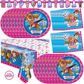 Unique Skye Paw Patrol banner backdrop for a festive party setup with Paw Patrol branding