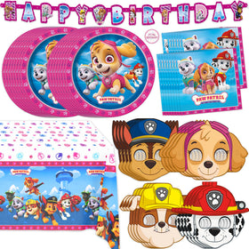 Unique Skye Paw Patrol pink banner creates a vibrant party backdrop.