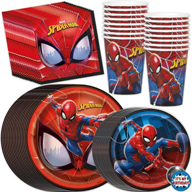 Unique Spiderman 9-inch plates for pizza and main dishes at a 16-guest party.
