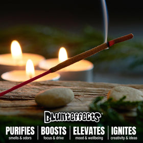 UNP Blunteffects long-burn incense supports focus during study or work.