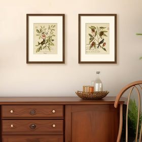 upsimples five-frame collage display for versatile hanging configurations.