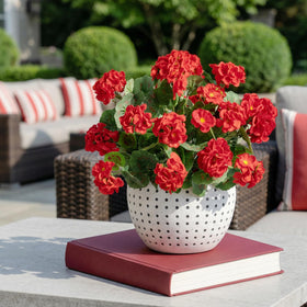 Uqueeten geranium dust-cleaning-friendly option keeps color vibrant with little effort.