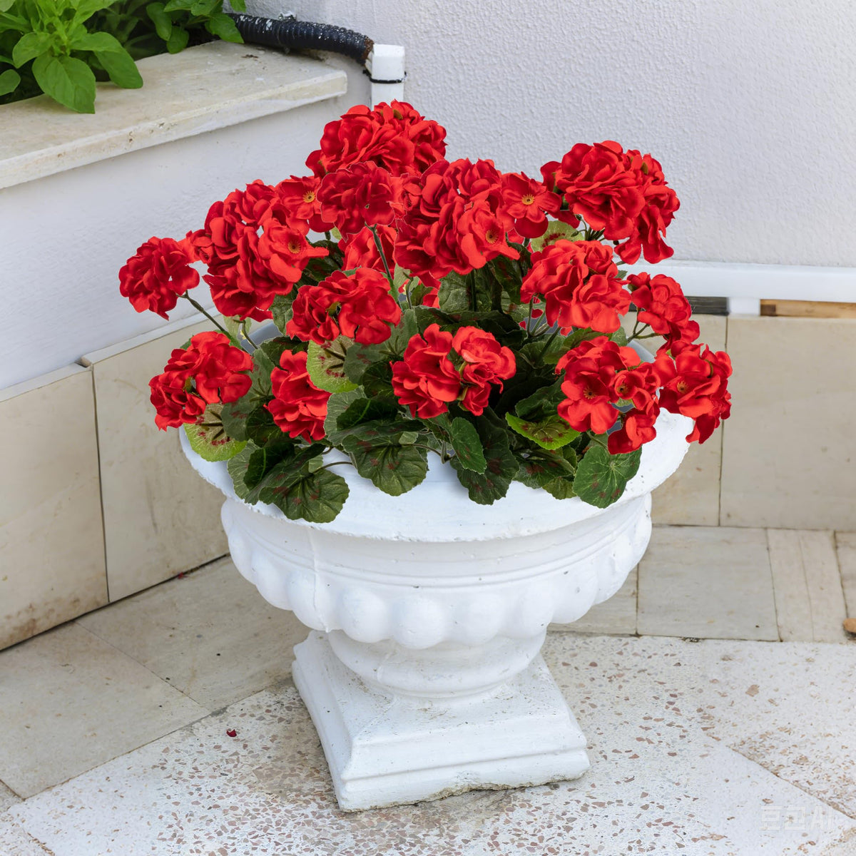 Uqueeten geranium indoor-decor idea brightens rooms with minimal upkeep.