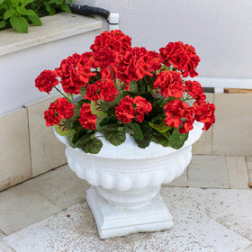 Uqueeten geranium indoor-decor idea brightens rooms with minimal upkeep.