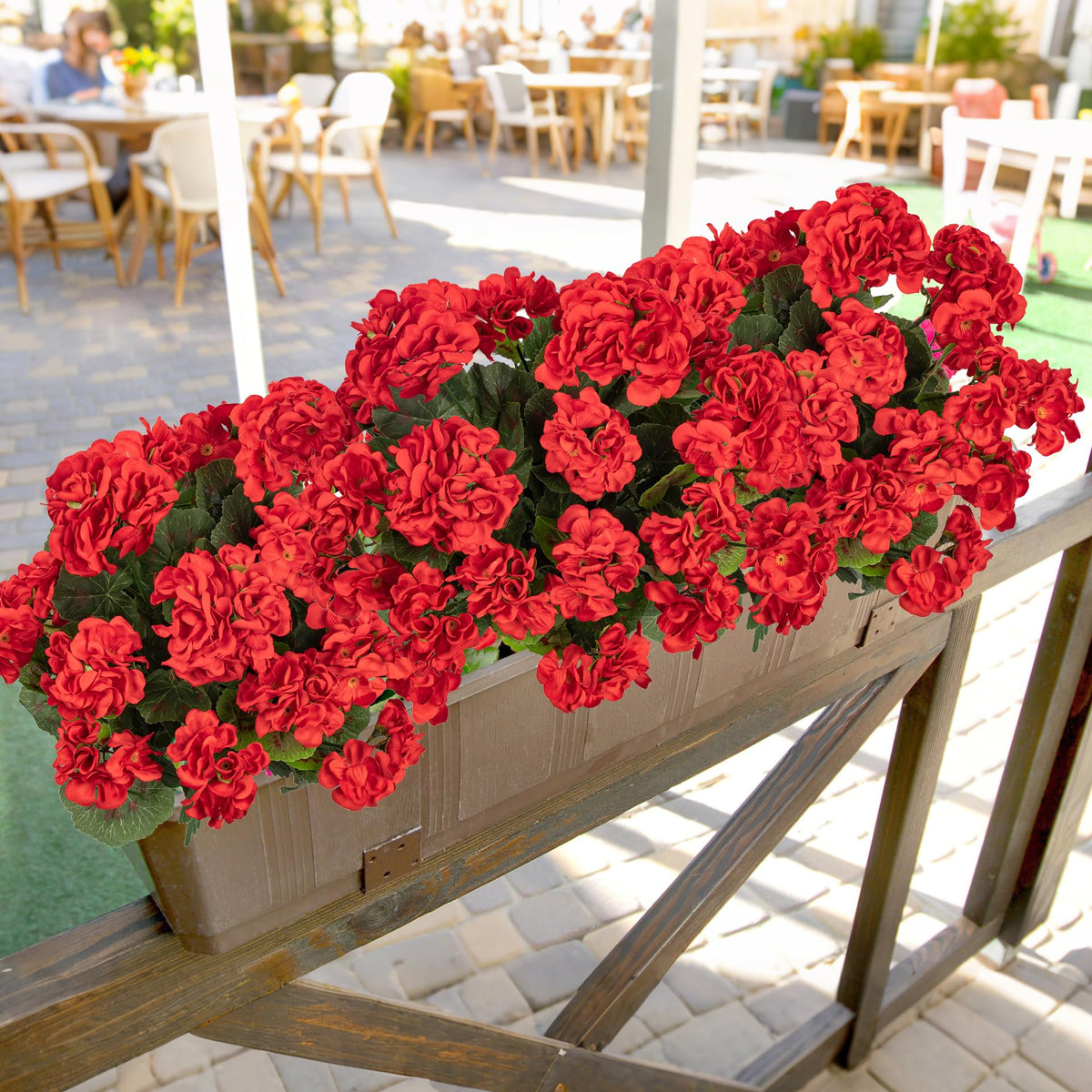 Uqueeten geranium garden curb-side accent adds natural charm without maintenance.