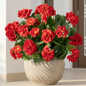 Uqueeten geranium outdoor porch decor setup demonstrates year-round color with no watering.