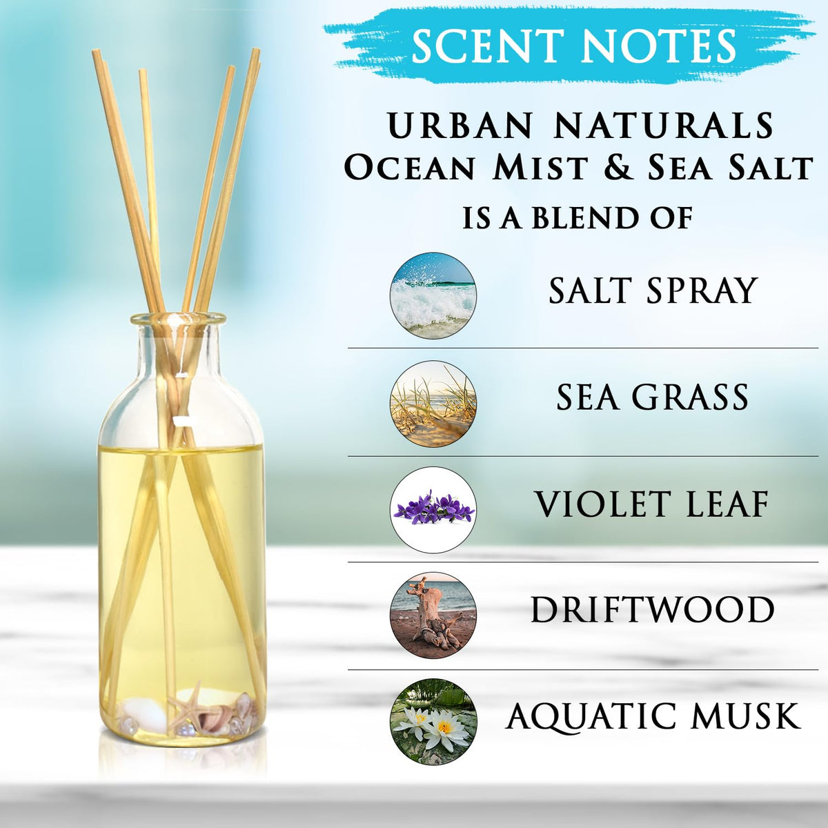 Urban Naturals driftwood musk note detail enhances coastal ambiance.