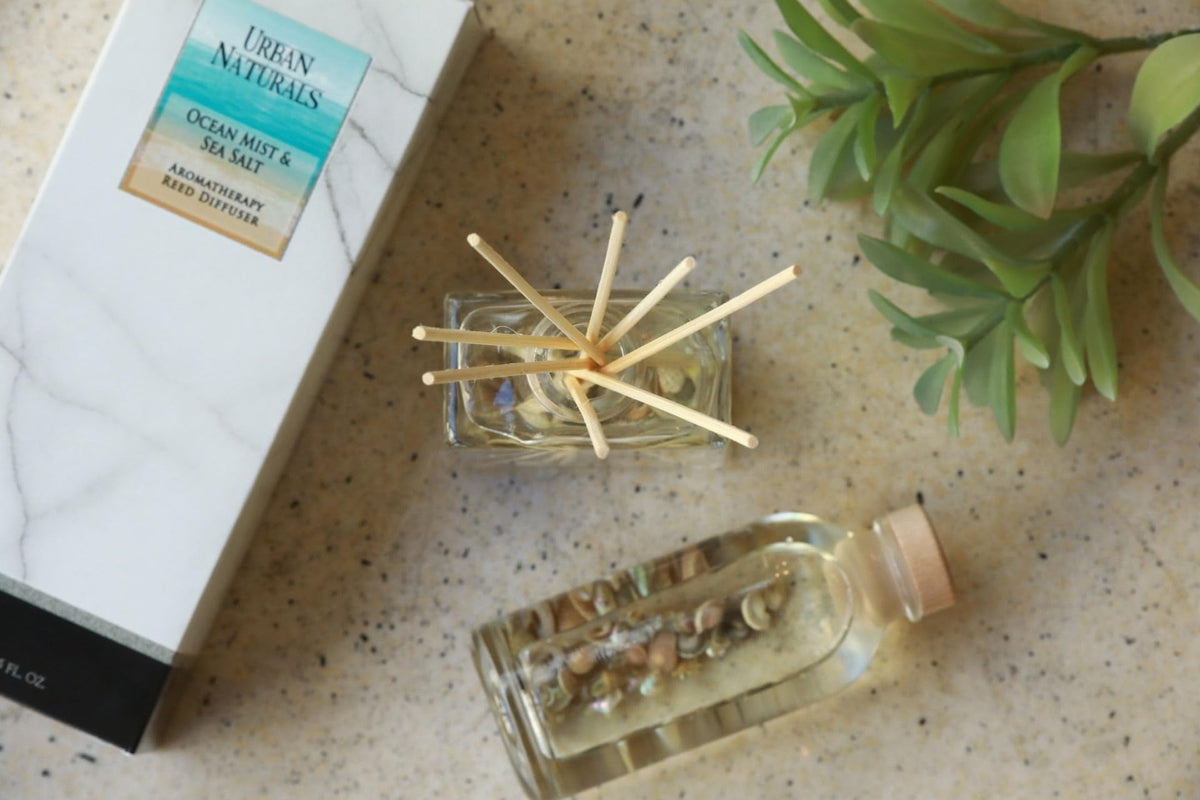 Urban Naturals real seashells decorate the diffuser setup for coastal charm.