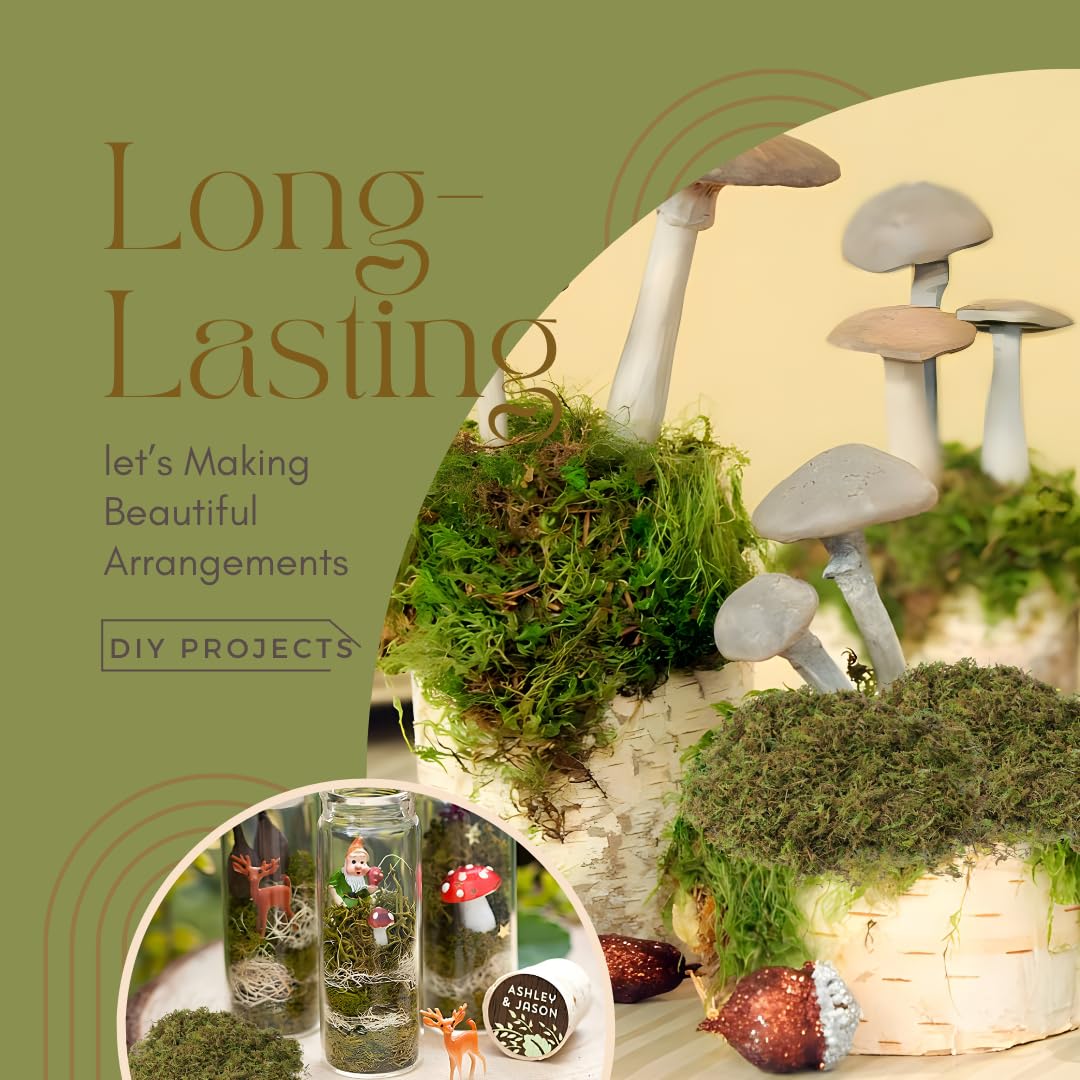 USMOLA fake moss creates vibrant centerpieces with long-lasting color