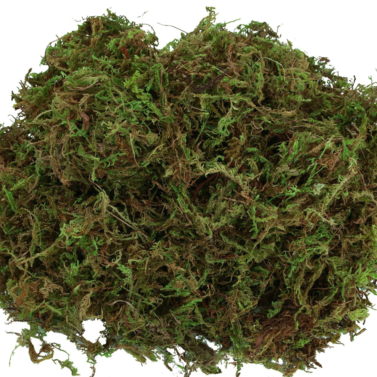 USMOLA fake moss provides ample material for multiple craft projects