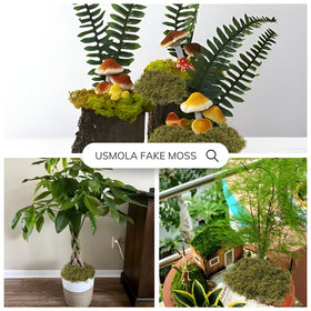 USMOLA fake moss adheres to glass surfaces for decorative greenery