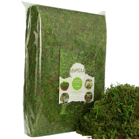 USMOLA fake moss on potted plants enhances greenery with minimal maintenance
