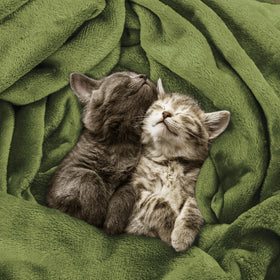 Utopia Bedding double-needle stitching detail emphasizes durability.