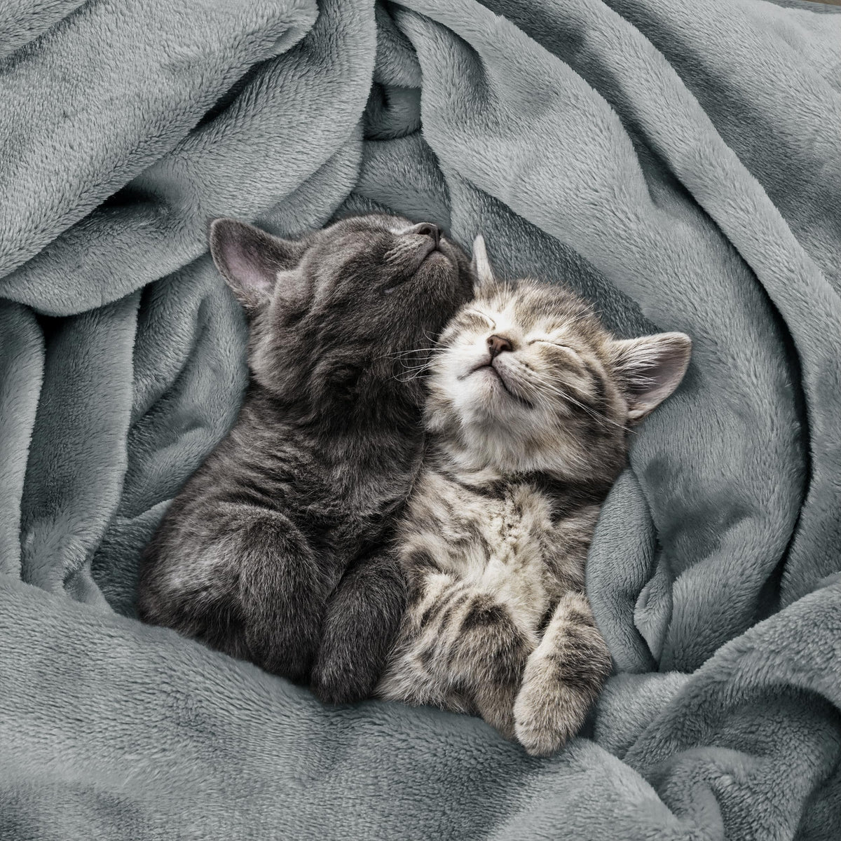 Utopia Bedding fleece blanket ash grey on sofa, ideal for cozy movie nights