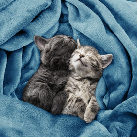Utopia Bedding fleece blanket draped over bed for a cozy look