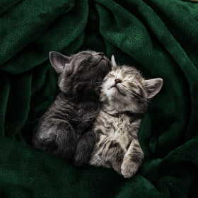 Anti-static label on Utopia Bedding blanket highlights snag-free comfort