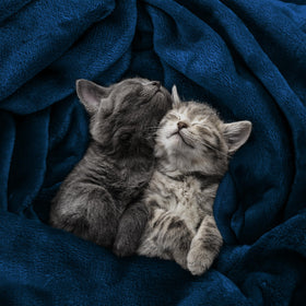 Utopia Bedding fleece blanket navy on sofa offers versatile coziness for movie nights.