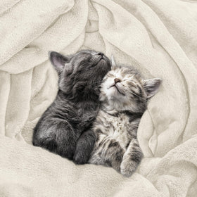 Cozy on a sofa during movie night with warmth and lightness from the blanket